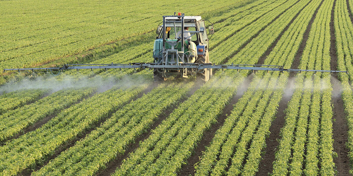 Pesticide analysis in food