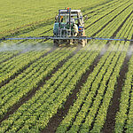 Pesticide analysis in food