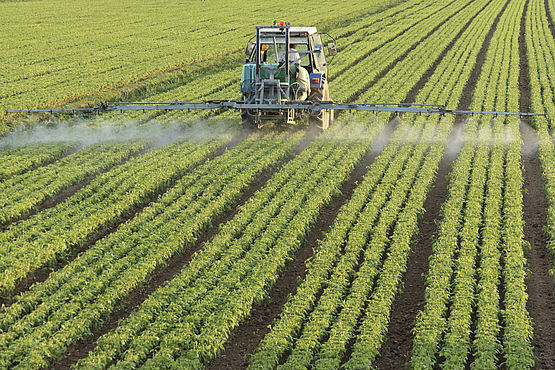Analiza pesticidelor din alimente