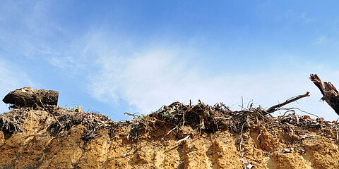 Land recycling as part of site management