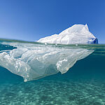 plastic bag swimming in the sea