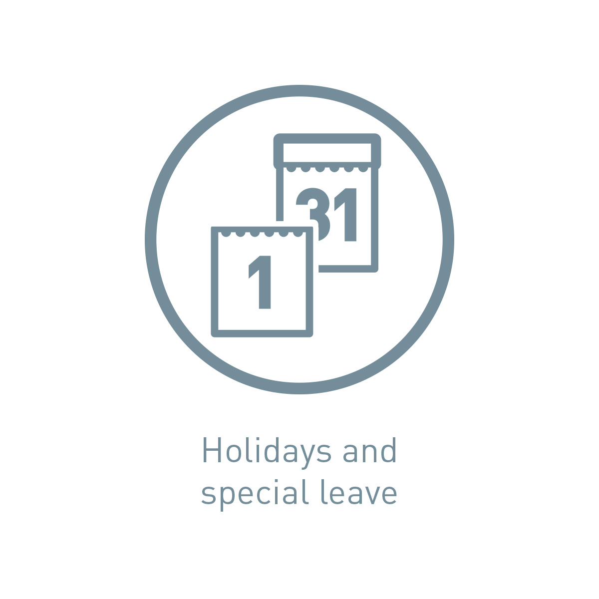 Icon holidays and special leave